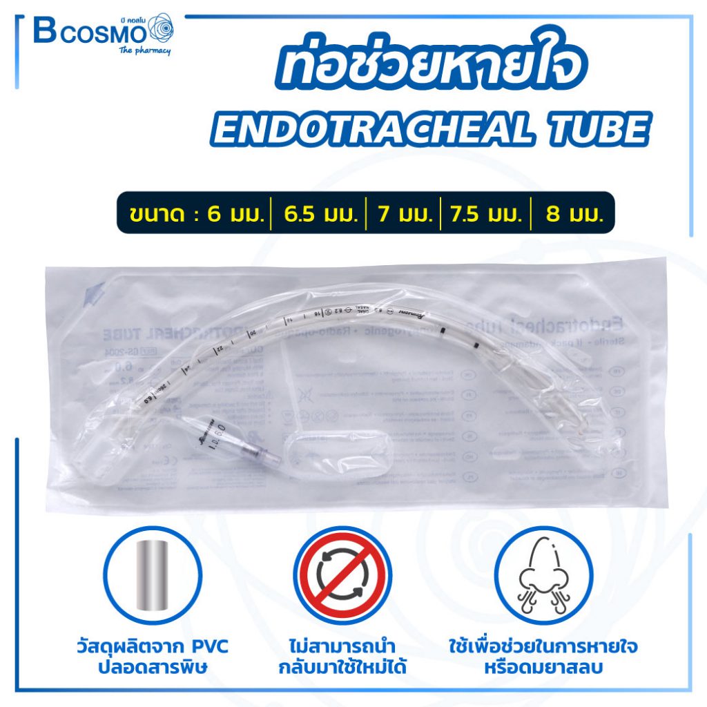 My Image 12